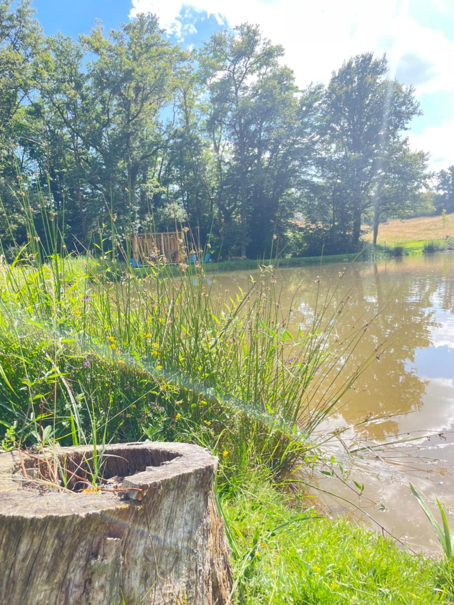 Gite Neuf Avec Jardin, Foret Et Etang Argenton Sur Creuse Εξωτερικό φωτογραφία